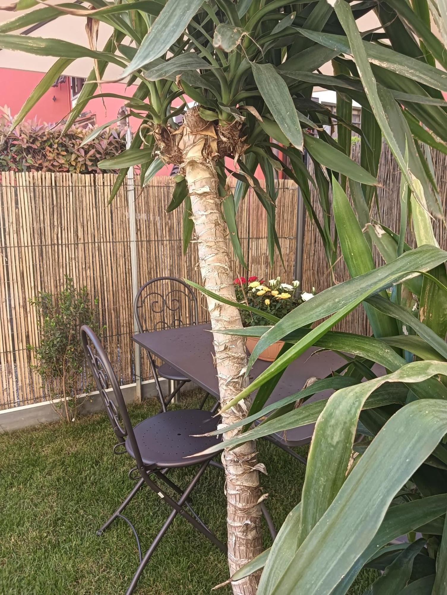 Casa Vacanze Rustico Di Corte Capannori Exteriör bild